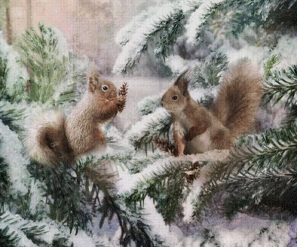 Зима пейзажи животные