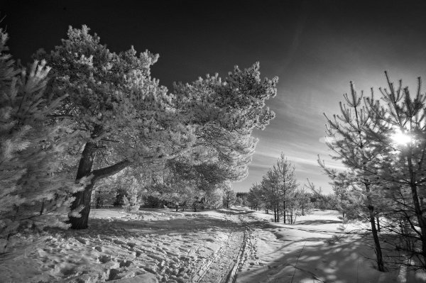 Зима черно белые