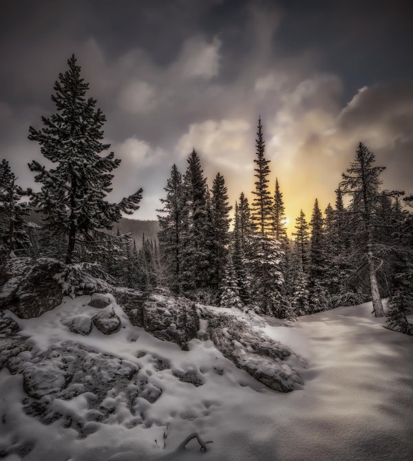 Зима черно белые