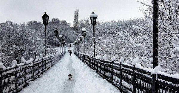 Зима черно белые