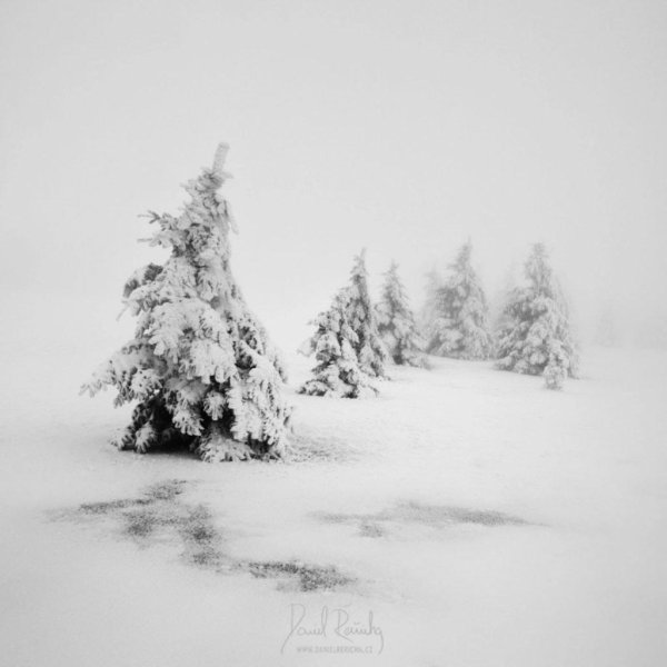 Зима черно белые