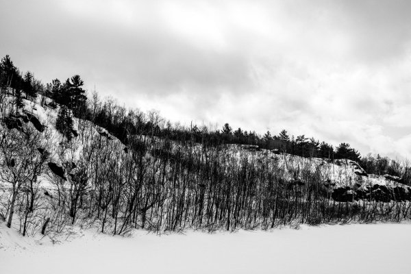 Зима черно белые