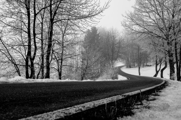 Зима черно белые