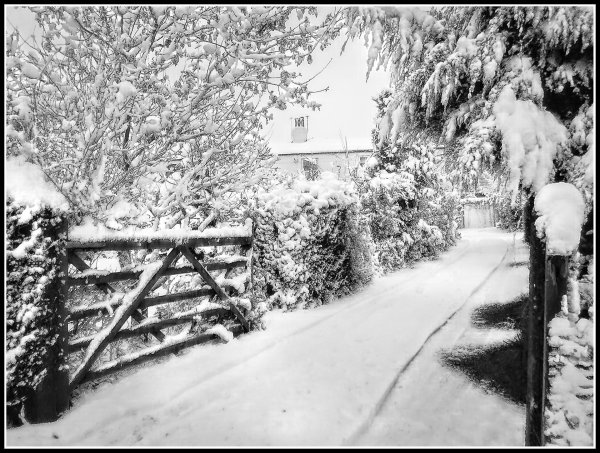 Зима черно белые