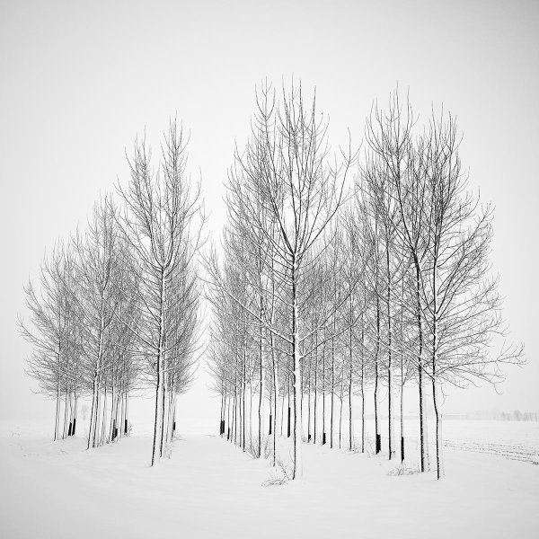 Зима черно белые