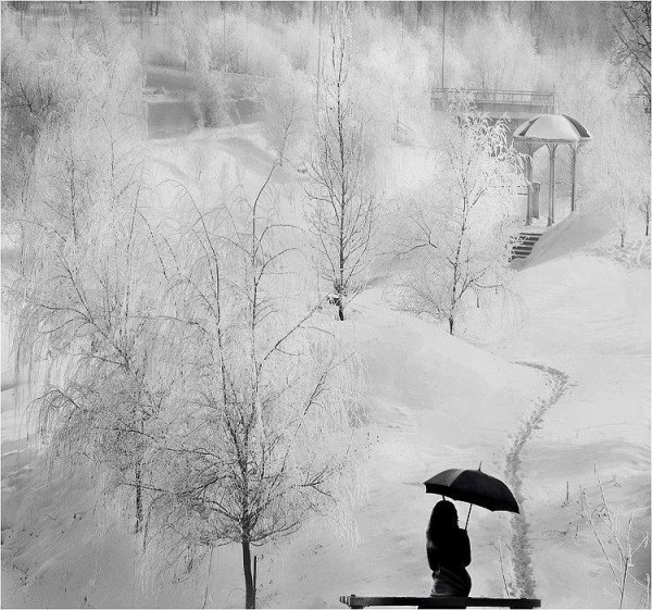 Зима черно белые