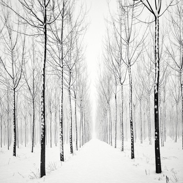 Зима черно белые