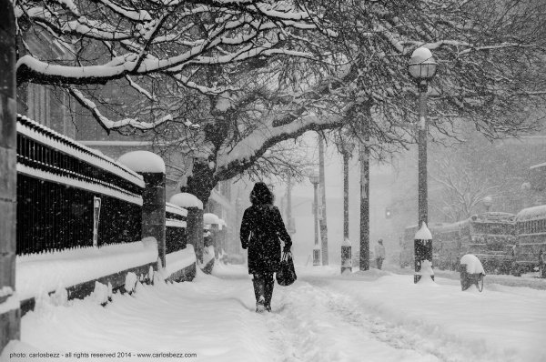 Зима черно белые