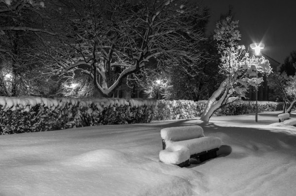 Зима черно белые