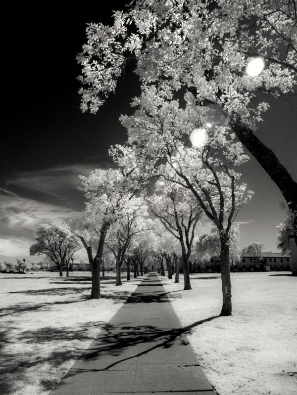 Зима черно белые