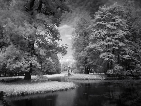 Зима черно белые