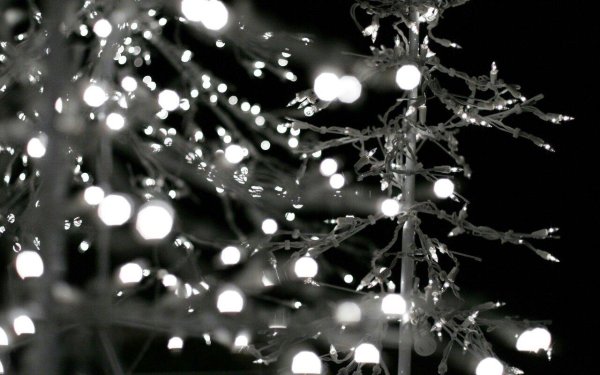 Зима черно белые