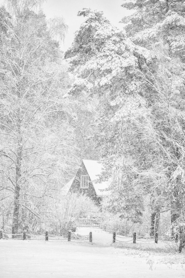 Зима черно белые