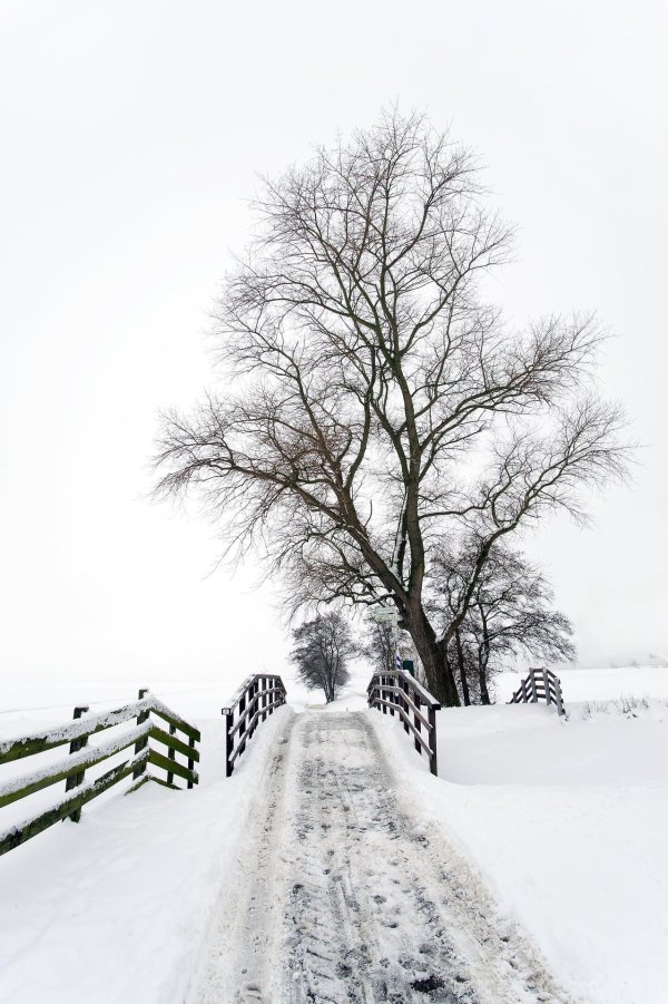 Зима черно белые