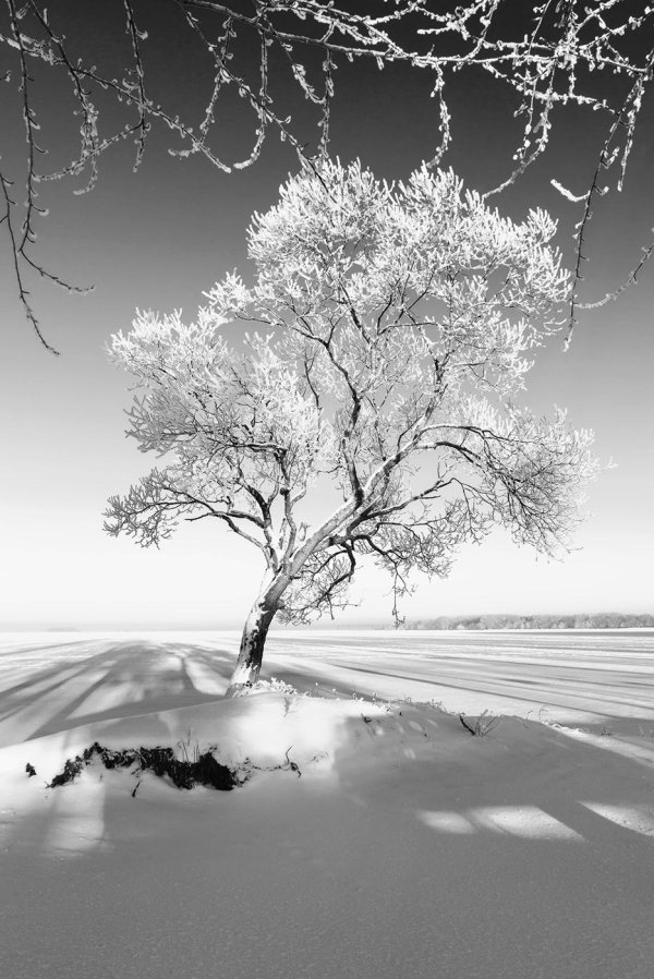 Зима черно белые