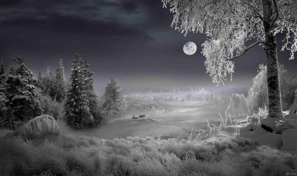 Зима черно белые