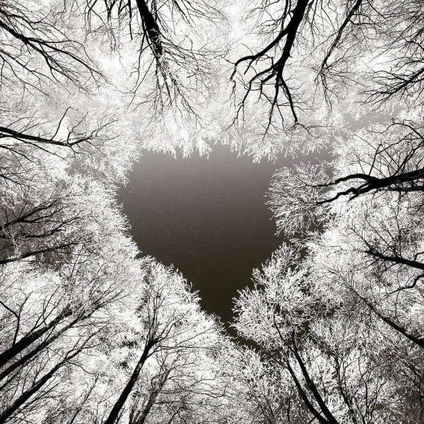 Зима черно белые