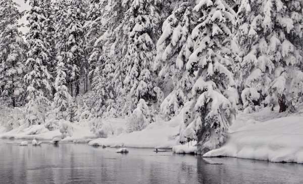 Зима черно белые