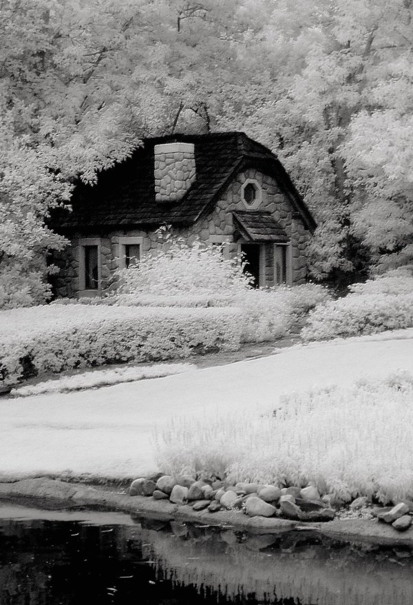 Зима черно белые