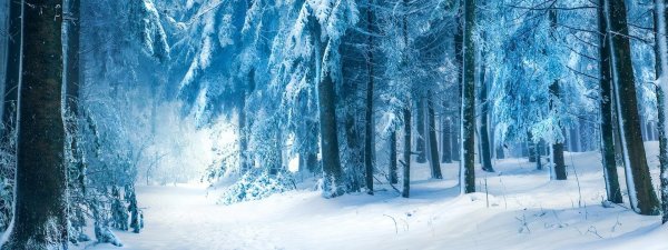 Обложка для одноклассников зима