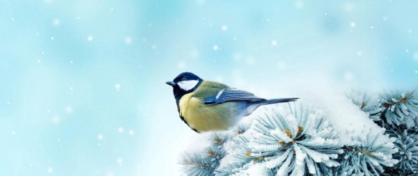 Обложка для одноклассников зима