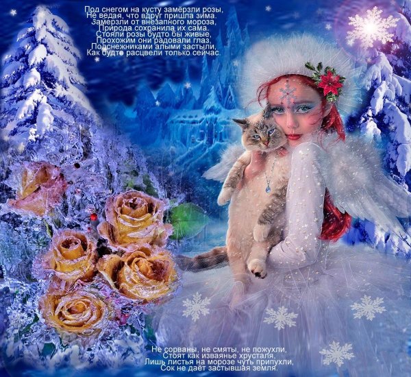 Королева зима