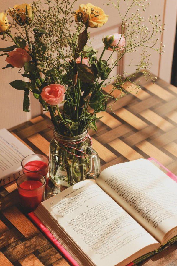 эстетика книг