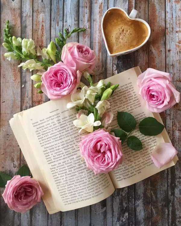 роза на книге