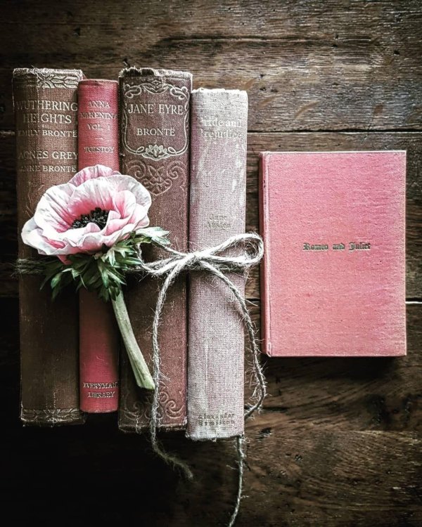 книжная эстетика