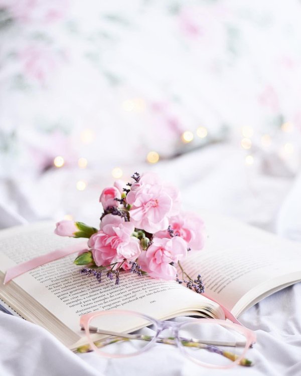 поздравление с днем биб