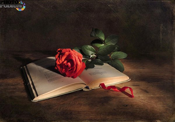 натюрморт с книгами