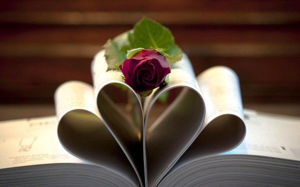 роза на книге