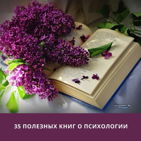 книга красивая
