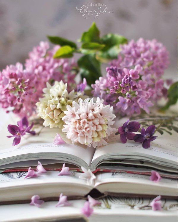 сирень цветки