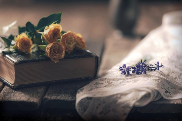 старая книга