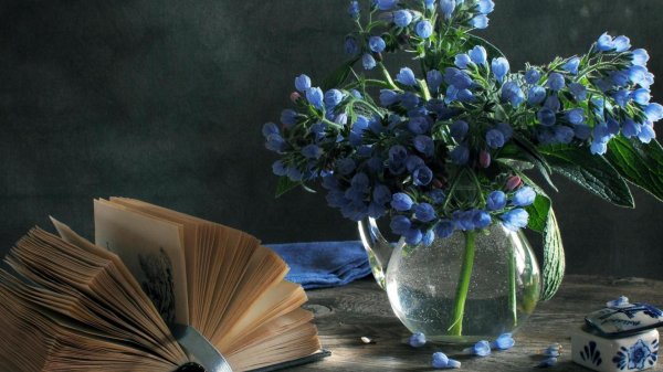 сергей алексеев фотонатюрморты