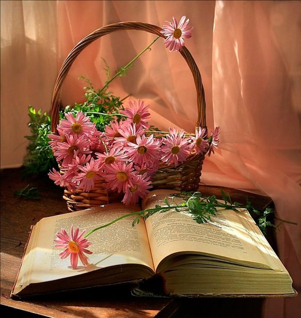 книга красивая