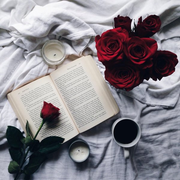 эстетика книг