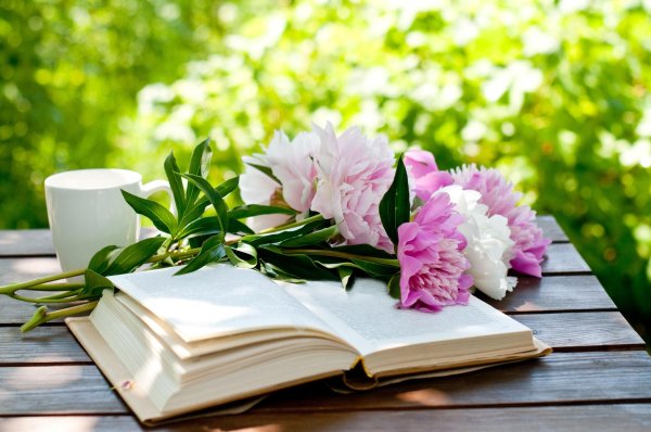 летние книги