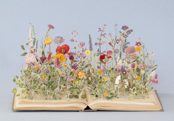 цветочные миниатюры