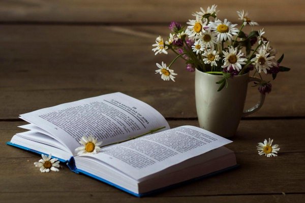 открытая книга