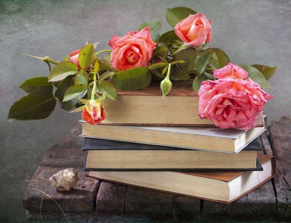 старые книги и розы