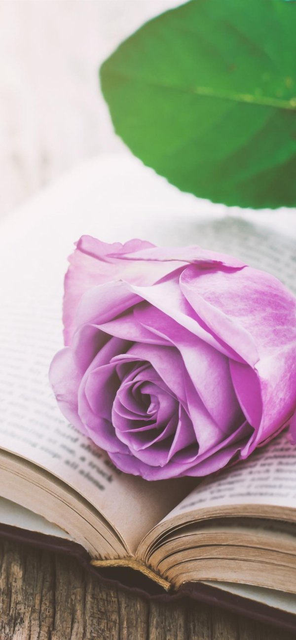 цветы книги