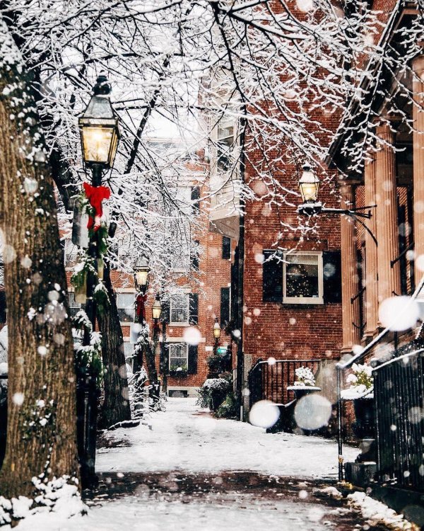 Стильные зима