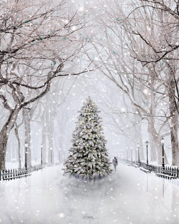 Стильные зима