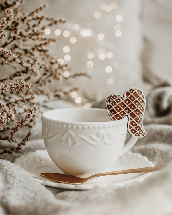 Стильные зима