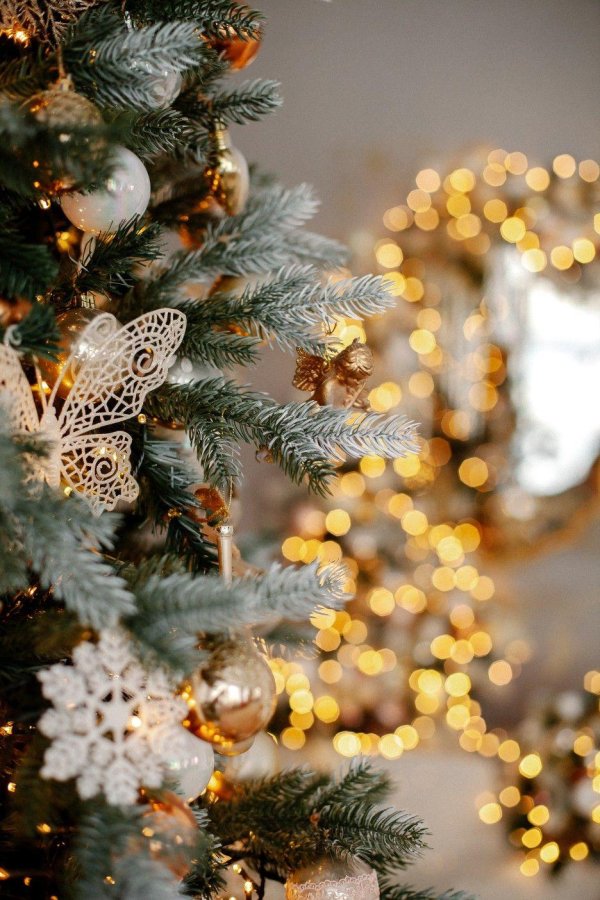 Стильные зима