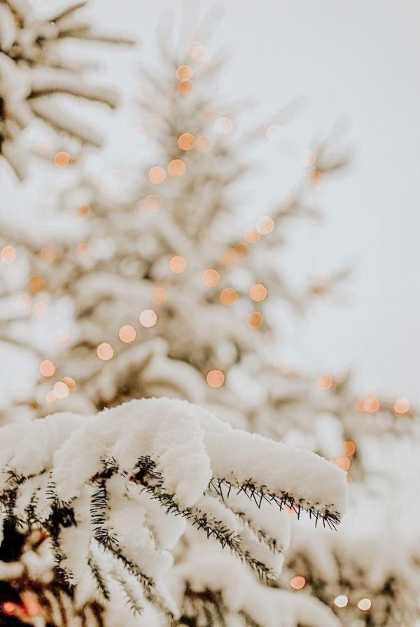 Стильные зима