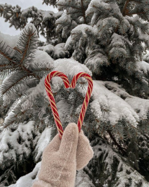 Стильные зима