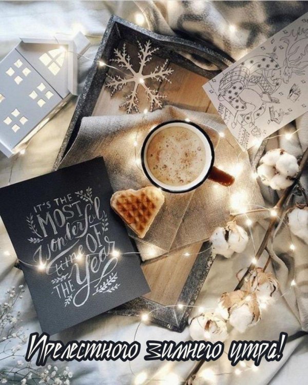 Стильные зима